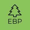 Export Brazil Pine