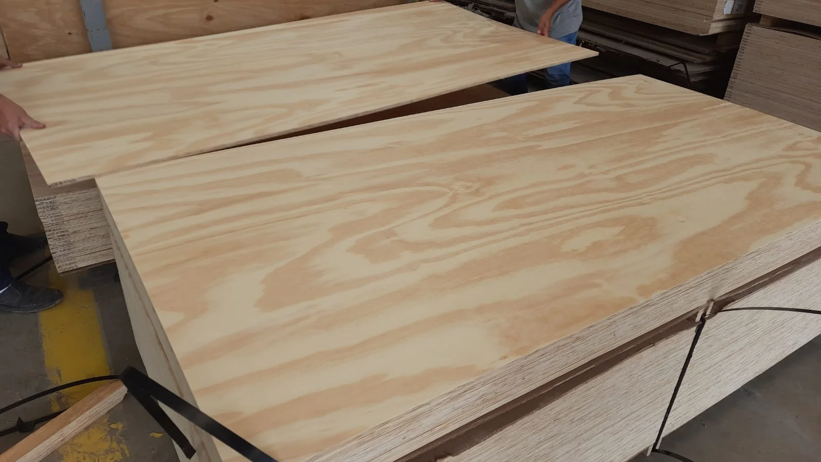Brazilian pine plywood