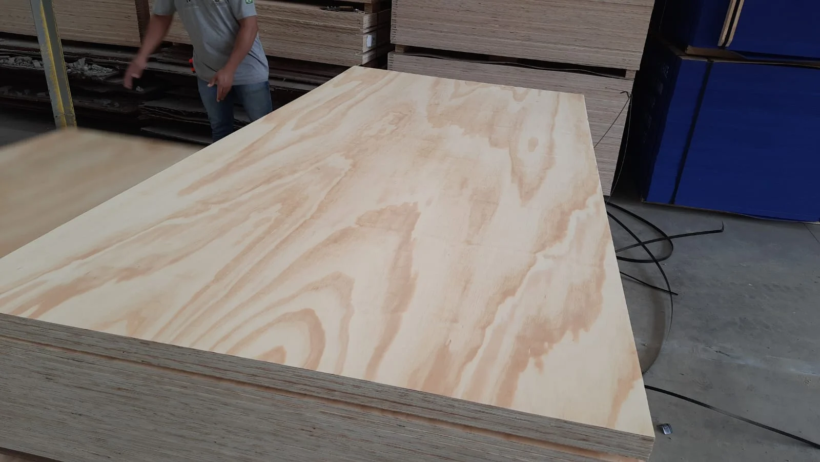 Brazilian pine plywood