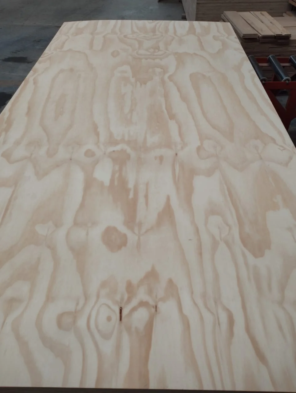 Brazilian pine plywood