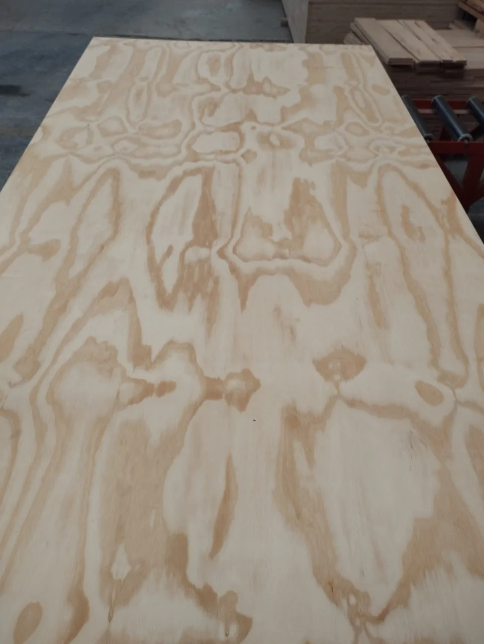 Brazilian pine plywood
