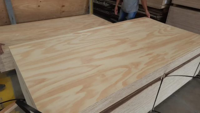A/C pine plywood premium face grade