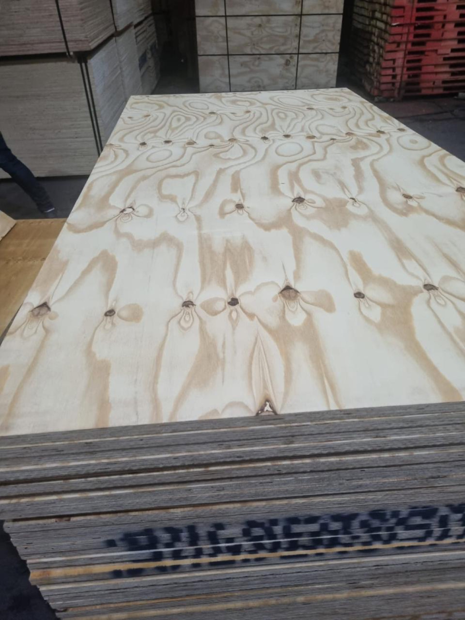 Brazilian pine plywood