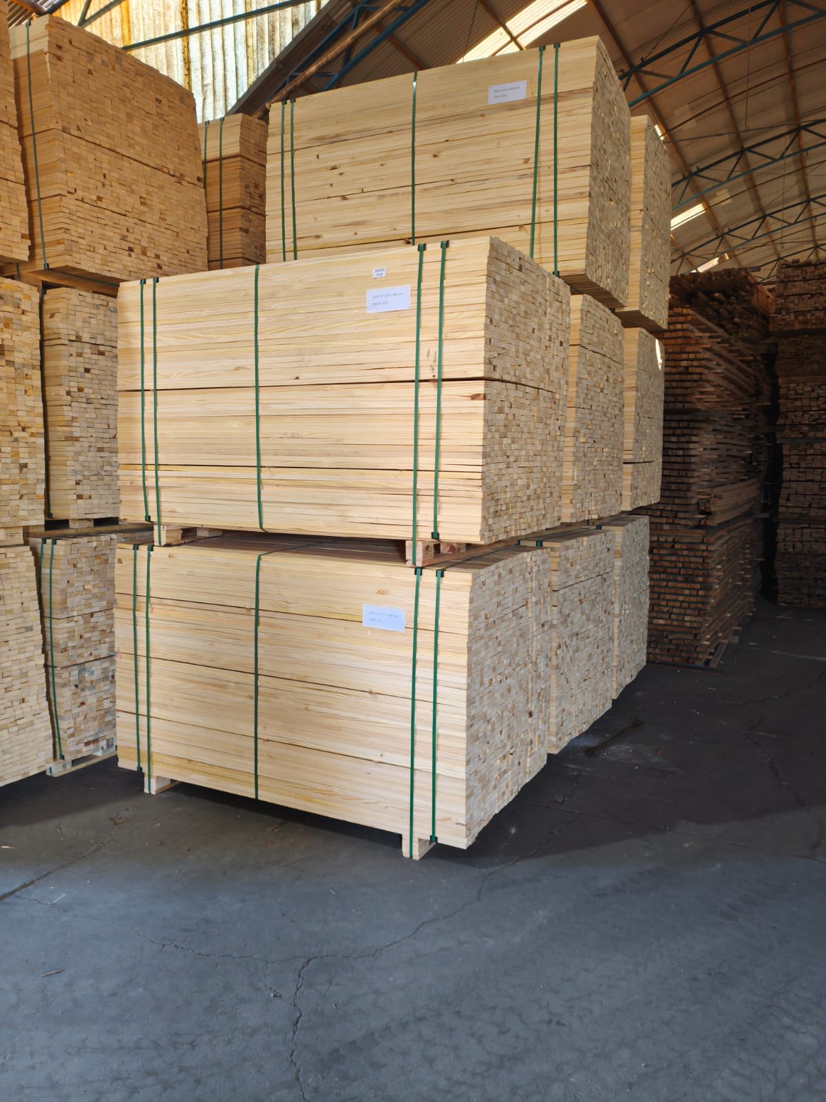 Brazilian sawn pine timber