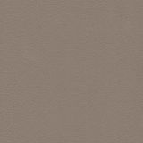 Fabrics — Cappuccino