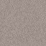 Fabrics — Fendi
