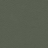Fabrics — Olive