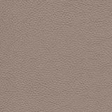 Natural leathers — Avelã
