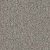 Natural leathers — Grigio