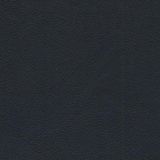 Natural leathers — Navy