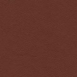 Natural leathers — Terracota