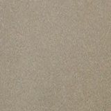 Metallic finishes — Laca Metalizado Champagne