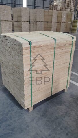 foto 6 foto 6 576x1024