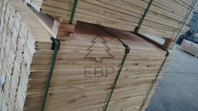 foto 7 foto 7 1024x576